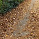 견우정형외과의원 이미지