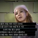 조이디제이 이미지