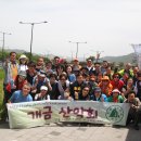 개금산악회 제279차 전남곡성 장미축제(2024.5.12) 이미지