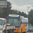 관광지순환버스 주식회사 이미지