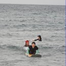 제주 서핑 서프앤조이 삼양해변 초보 서핑강습