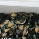 별하우스 이미지