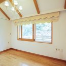 비안단테 이미지