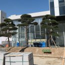 삼성생명빌딩 이미지