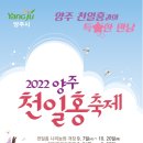 천일홍축제 MBN
