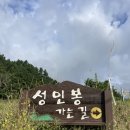 KBS방송국매점 | 울릉도 성인봉 최단코스 kbs중계소 왕복, 비오는 날 풍경