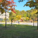 오색단풍작은도서관 이미지