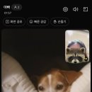 테바나카오또상성복역점