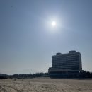 [2박3일 속초-고성] 35개월 아이와 르네블루 바이 워커힐, 근처 오겹살 맛집 삼포마당넓은집 후기