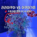 라라아쿠아가든 - 전주시 덕진구 초포다리로 51 | 라라아쿠아가든