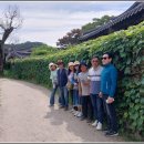 동호솔숲 이미지