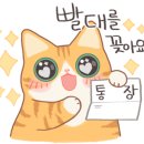 남부떡집 이미지