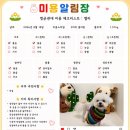 햇살애견미용실 | 상대원 애견미용, 멍균관대 후기
