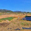 본량농협 이미지