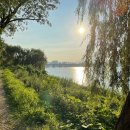 선인명과 | [생각+리뷰] 현재 50km로 달리고 있는가 + 스타벅스자몽허니시럽