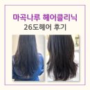 신방화역 마곡더블유타워 앞 | 마곡역 근처 미용실 26도헤어 마곡나루역점 헤어클리닉 후기