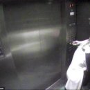 조니모터스 이미지