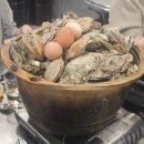 오군포차 이미지