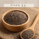 알파미용재료 | 치아씨드 효능 이렇게 먹으면 효과 두배! 알고 먹어야 합니다
