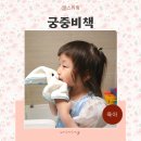 몰티즈 리트리버 궁중비책 키즈바디워시 어린이 페이셜 클렌저 추천