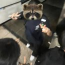 은이슈퍼 이미지