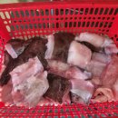 신진도수산 이미지