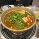 김미자강남동태탕찜 이미지