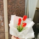 신월동128 이미지