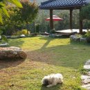 광덕농원 이미지