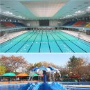 현대수영장 이미지