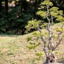 통영친환경에너지타운 이미지