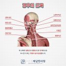 바른몸채담한의원 네이버블로그
