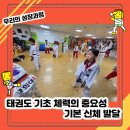 경희대강한태권도장 이미지