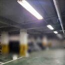 주엽공원 | 일산 호수공원 인근 라멘 맛집 (주엽역, 정발산역, 내돈내산, 솔직후기, 가격, 주차)