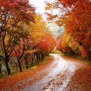 청학로학교길 이미지