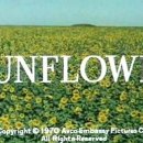 영화 `해바라기(Sunflower)` OST / Loss of Love 이미지
