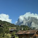 조리장진치참치 | 내돈내산 | 그린델발트 샬레 보덴왈드 Chalet Bodenwald 솔직후기(가격, 조리도구 유무, 샬레 음식해먹기)