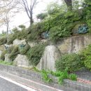 흰돌의원 이미지