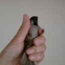 (주)태호 이미지