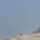 7월 수도권 당일치기 섬여행 추천, 제부도 매바위 해수욕장, 텐트치고 바다해무 보고 온 이야기