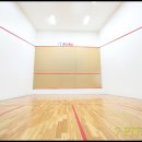 쎄븐헬스 스쿼시 이미지