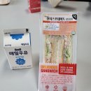 영폴리텍 이미지
