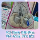 월드명품세탁소 이미지