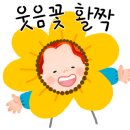 용진초등학교 이미지