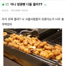 땅콩빵 이미지