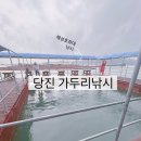 와따좌대낚시터 | 당진 도비도 가두리 낚시, 해성호 좌대 낚시터 내돈내산 평일 후기(가는 법, 요금, 명당자리, 물고기 잘...