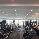 바디피트니스존 이미지