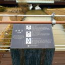 풍덕농장 이미지