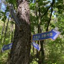 덕산 약수터 이미지