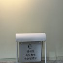 빛나는오늘;네일 | [봄 페디 추천] 네일빛나는밤 이전 후기 | 관리 주기 정리